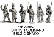 Unit - British Line, Belgic Shako, Advancing